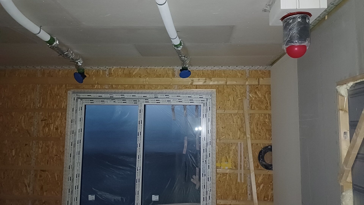 DASNÝ (České Budějovice)